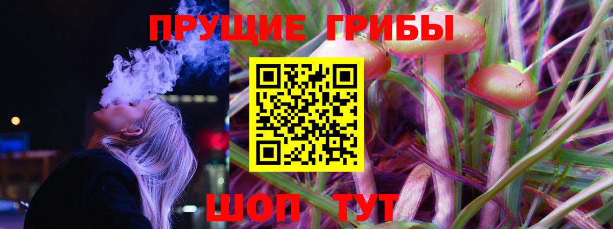 Советск  Псилоцибиновые грибы Cubensis  Вход с VPN  Галлюциногенные грибы мицелий 